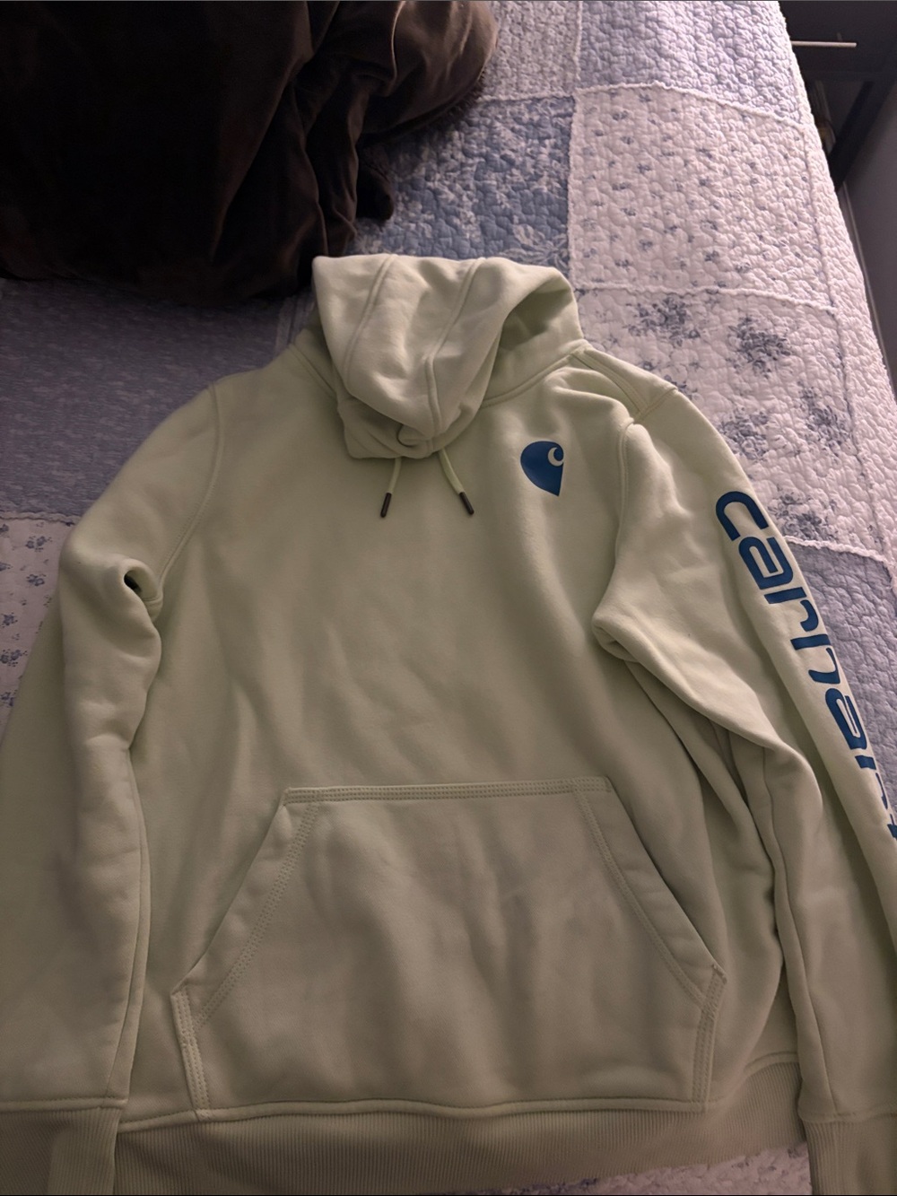 Carhartt Women’s Light Green Hooded Sweatshirt with Logo